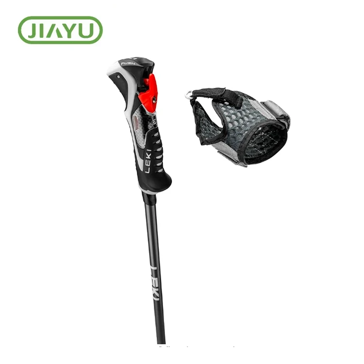 Carbon Silk Print Ski Pole